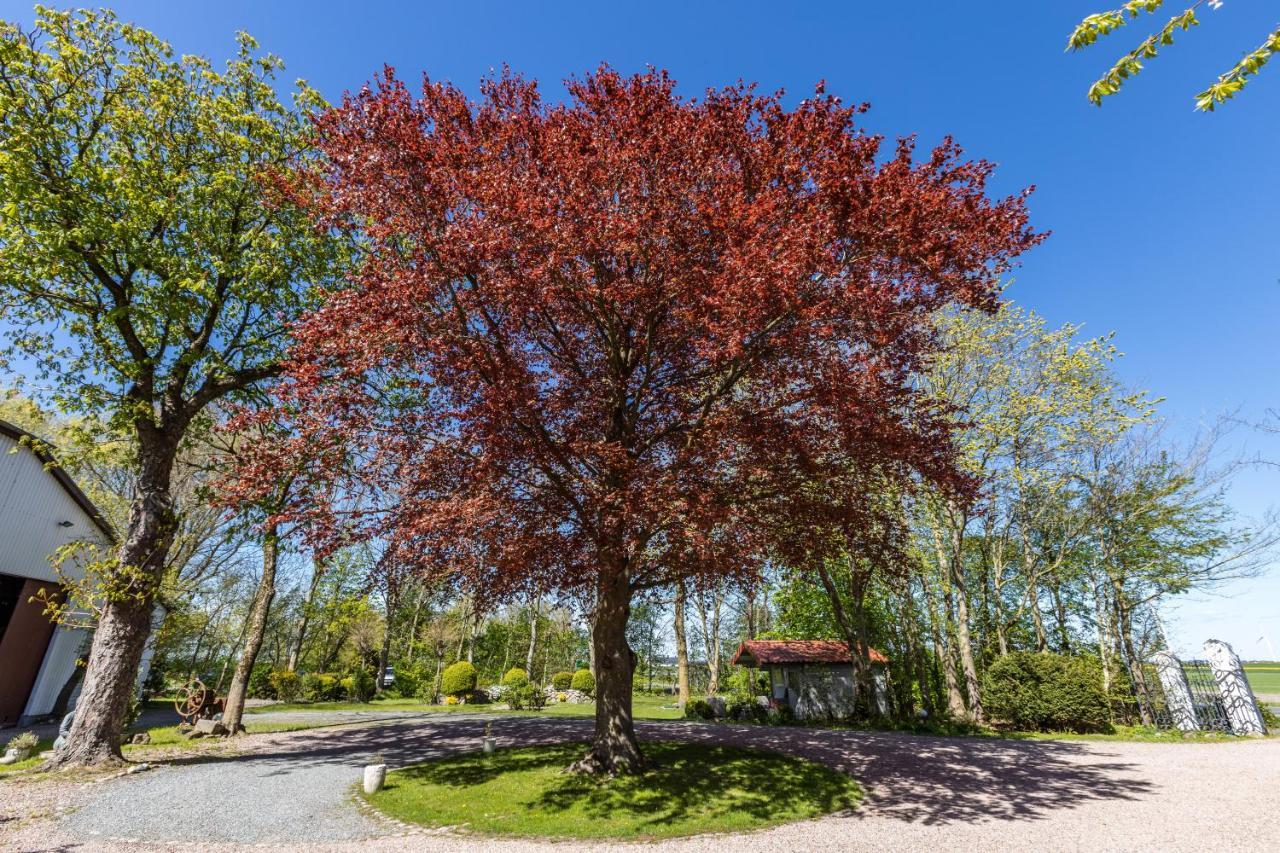 Denkerhof Ferienwohnung Sodalith Reußenköge Buitenkant foto